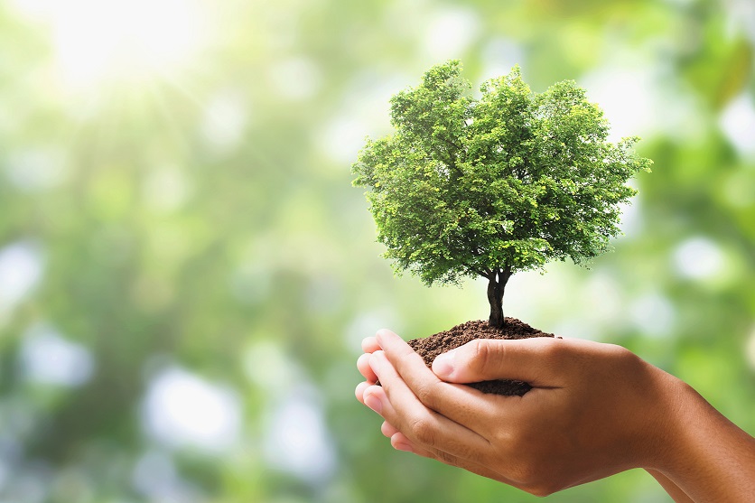VeriPark sustainability
