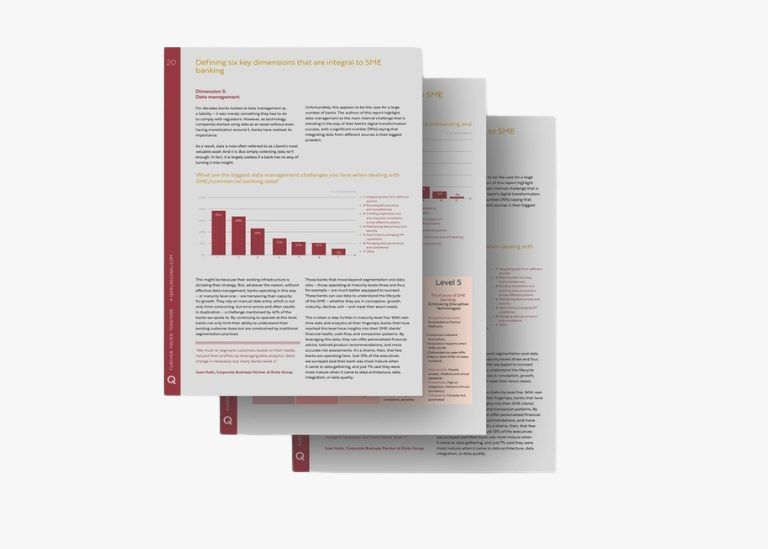 Qorus VeriPark SME banking report story