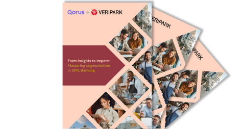 Qorus-VeriPark Report: Mastering Segmentation in SME Banking