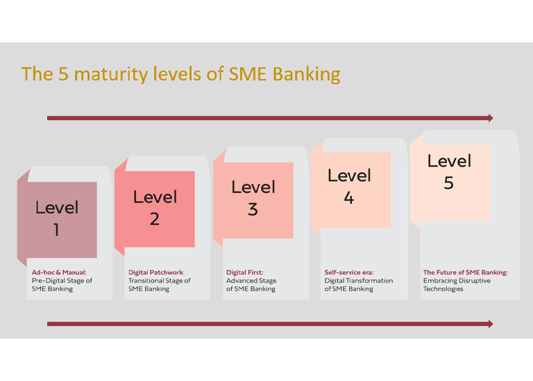 QorusVeriPark report The five maturity levels of SME Banking VeriPark