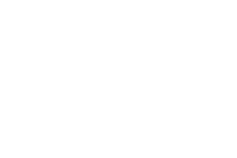 20%