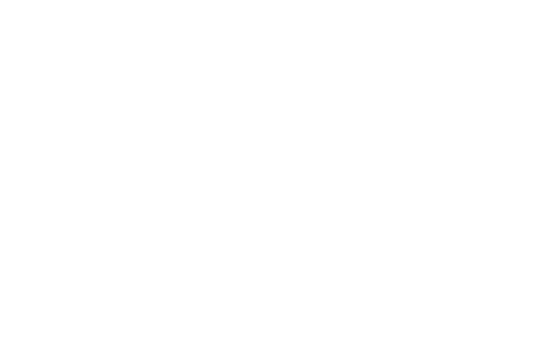 About VeriPark - global player - icon