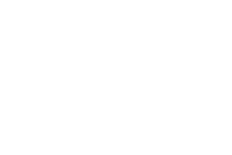 About VeriPark - FSI only