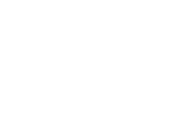 I_VRP_04-FSI-only_DE.png