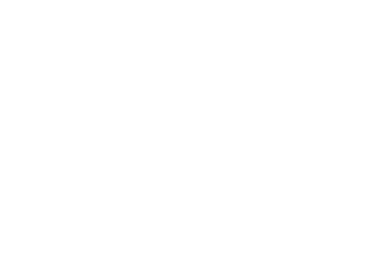 About VeriPark - customers