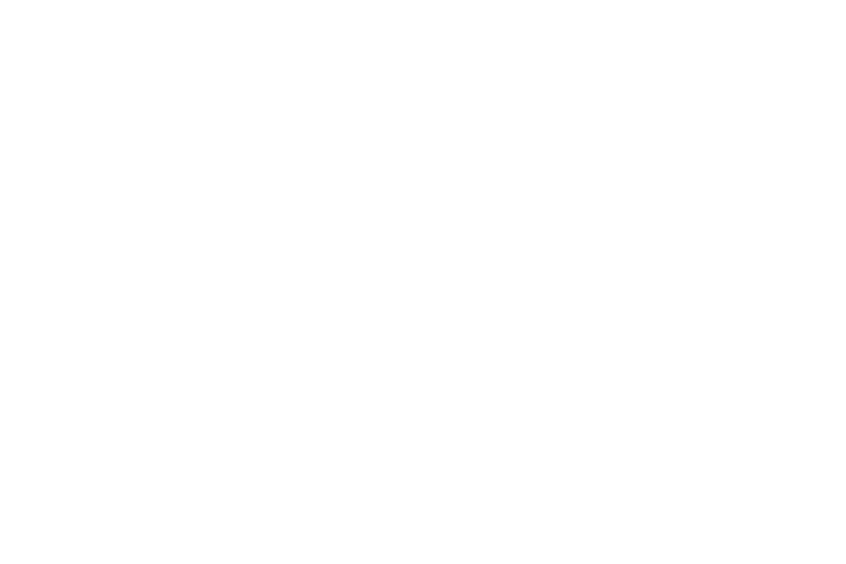 About VeriPark - CMMI ISO certified