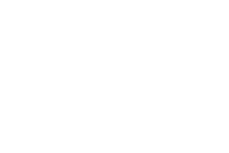 13M.png